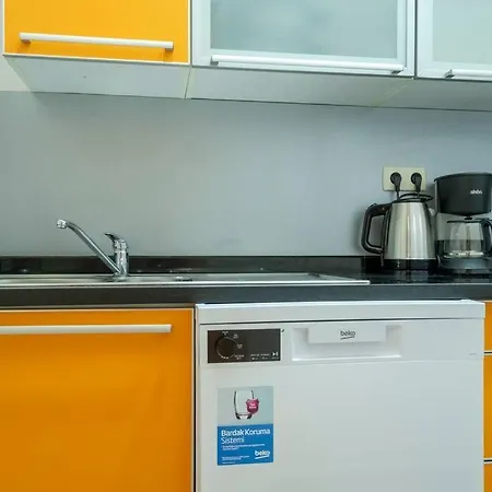 Lejlighed High-ceiling Central 3-bedroom With City View Istanbul